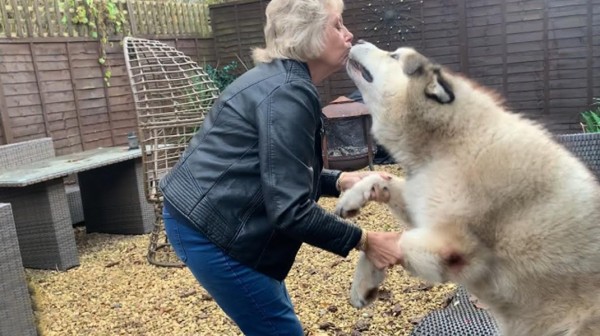 Όταν αφήνεις τον σκύλο σου στη γιαγιά