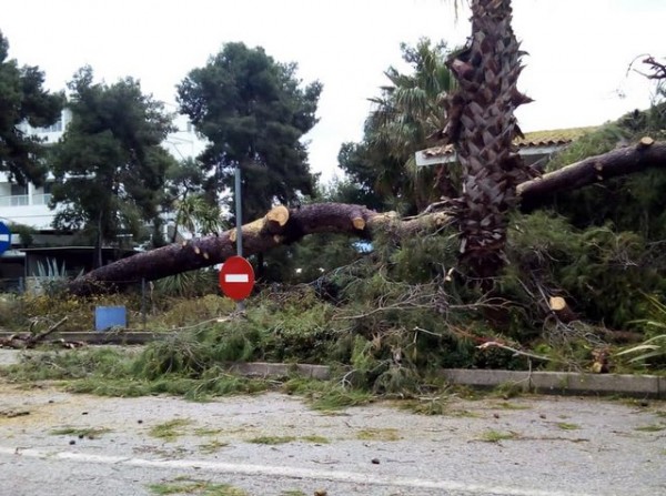 ΕΥΒΟΙΑ: Προβλήματα από την κακοκαιρία σε Ιστιαία, Κύμη και Μαντούδι