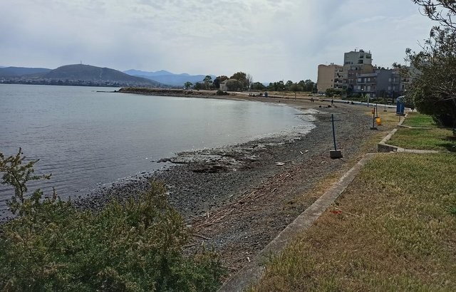 ΕΠΙΜΕΛΗΤΗΡΙΟ ΕΥΒΟΙΑΣ: Να πάει στους Δήμους η παραχώρηση αιγιαλού και παραλίας σε επιχειρήσεις