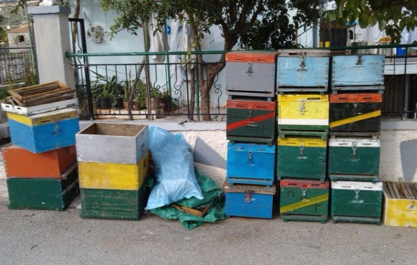 ΕΥΒΟΙΑ: Οι μελισσοκόμοι πρέπει να καταθέσουν δήλωση για τις κυψέλες που κατέχουν