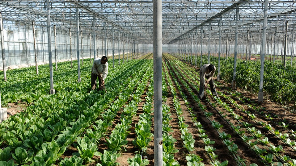 Παρέμβαση στη Βουλή για την στήριξη παραγωγών με θερμοκήπια στην Εύβοια