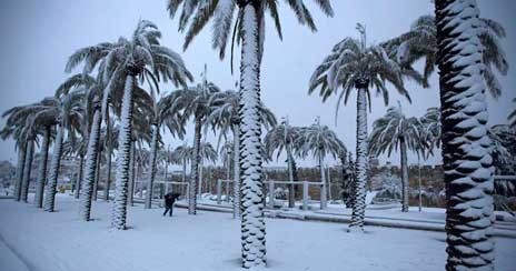 Χιόνισε στην Σαουδική Αραβία
