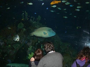 Μουσείο Βιολογικής Ωκεανογραφίας στη Λίμνη