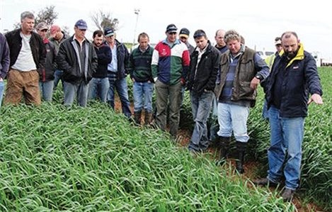 Αρχίζουν τα σεμινάρια αγροτικής εκπαίδευσης από το ΙΓΕ