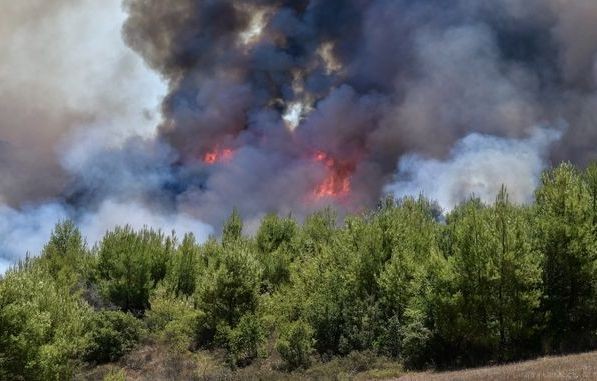 ΛΙΜΝΗ ΕΥΒΟΙΑΣ: Άρπαξε φωτιά σε δασική έκταση το μεσημέρι της Παρασκευής