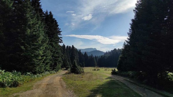 ΚΑΤΑΓΓΕΛΙΑ: Εγείρονται ερωτήματα για την στάση του Δήμου Κύμης - Αλιβερίου στα θέματα περιβάλλοντος