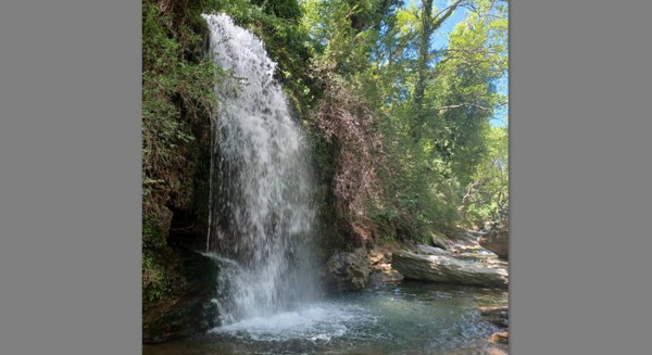 Συμπαράσταση στους κατοίκους της κοινότητας Πλατανιστού και από τους μελισσοκόμους της Καρύστου