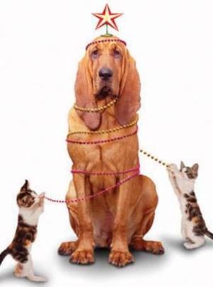 Μπαζάρ ζωόφιλων