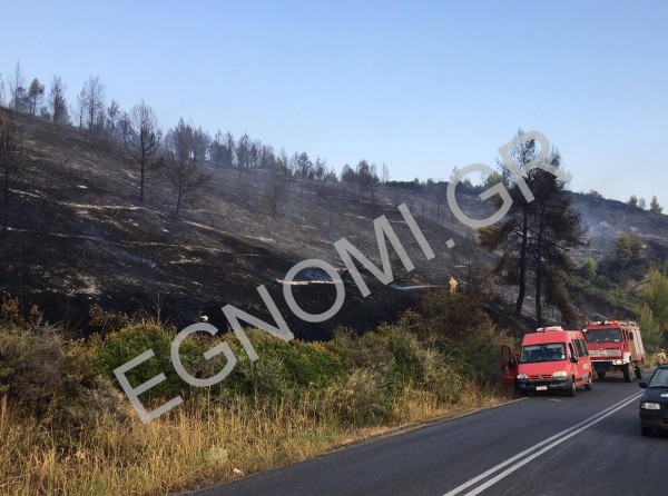 ΕΥΒΟΙΑ: Φωτιά στις Ροβιές