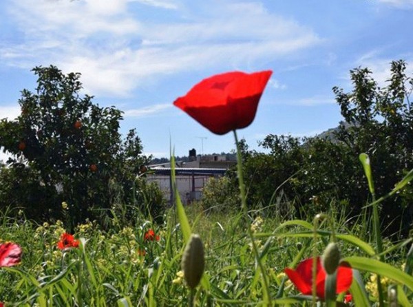 ΕΥΒΟΙΑ: Τι καιρό θα κάνει την Κυριακή του Πάσχα