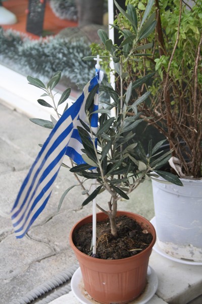 Γλαστράκι με σημαία