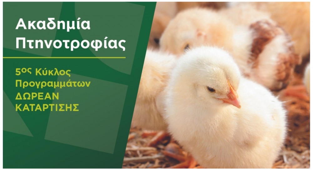 Παράταση αιτήσεων για την Ακαδημία Πτηνοτροφίας που ξεκινάει από τη Χαλκίδα
