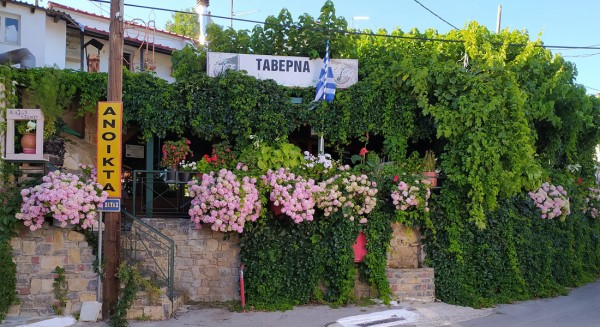 ΕΛΑΤΟΣ ΣΕΤΤΑ: Γίνεται ...μάχη με τα κρεατικά του!