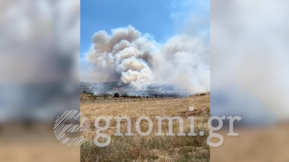 Φωτιά στον Πισσώνα (VIDEO)