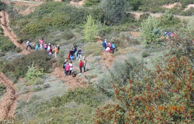 ΔΗΜΟΣ ΧΑΛΚΙΔΕΩΝ: Κηρύχτηκε αναδασωτέα έκταση στη θέση Αλιβέρι -Δοκός