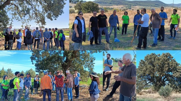 ΣΥΛΛΟΓΟΣ ΣΙΔΕΡΙΤΗΣ: Δράση στις αιωνόβιες βελανιδιές στην περιοχή της Οινόης και του Αγίου Θωμά
