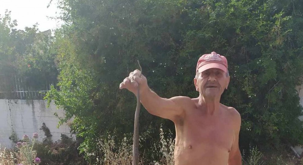 Γέμισαν φίδια τα Πολιτικά