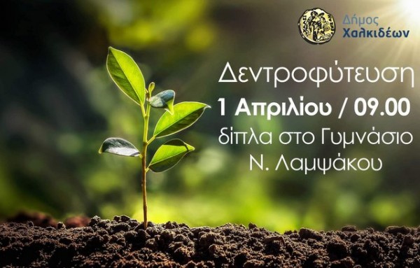 ΛΑΜΨΑΚΟΣ: Δράση δενδροφύτευσης από το Δήμο δίπλα στο Γυμνάσιο