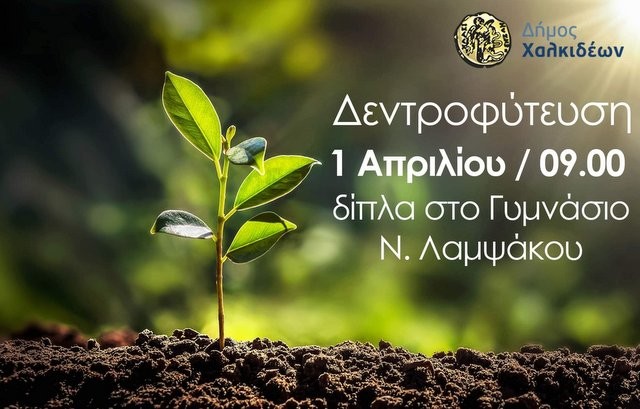 ΛΑΜΨΑΚΟΣ: Δράση δενδροφύτευσης από το Δήμο δίπλα στο Γυμνάσιο