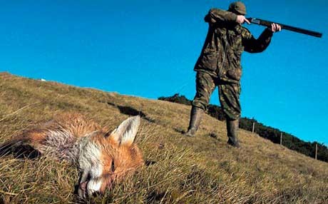 Ο Μήτσος πάει για κυνήγι