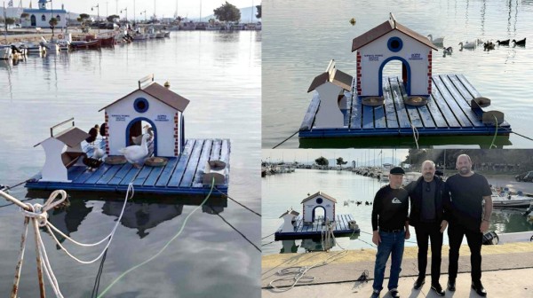 ΑΡΤΑΚΗ: Οι πάπιες απέκτησαν πάλι το σπιτάκι τους στο λιμάνι