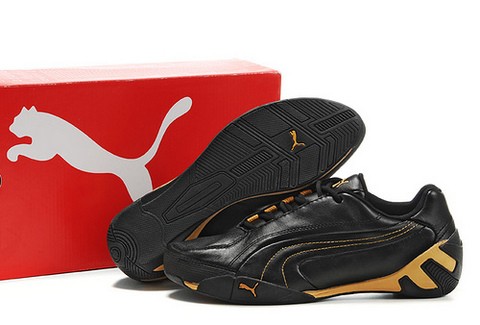 Puma εναντίον Puma με φόντο το άρθρο 99!