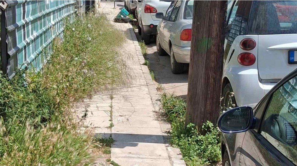 ΧΑΛΚΙΔΑ: Τα αγριόχορτα έχουν γίνει ... δάσος, σε πεζοδρόμιο της οδού Παπασκιαδά