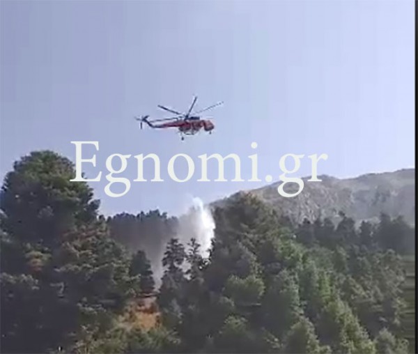 ΕΥΒΟΙΑ: Πρόλαβαν τη φωτιά στα Καμπιά