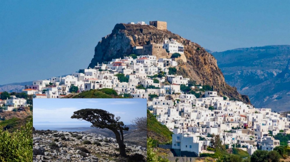 ΣΚΥΡΟΣ: Έντονη ανησυχία από τα σχέδια για εγκατάσταση ανεμογεννητριών στο όρος Κόχυλας