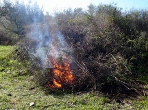 ΠΥΡΟΣΒΕΣΤΙΚΗ -ΕΥΒΟΙΑ: Απαγορεύονται όλες οι καύσεις από τον Απρίλιο μέχρι τέλος Οκτωβρίου