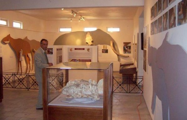 Το Μουσείο απολιθωμένων θηλαστικών Κερασιάς σε ιντερνετική πλατφόρμα