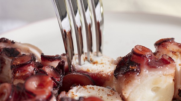 Χταπόδι ξυδάτο