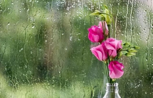 ΕΜΥ: Προγνωστικά για βροχές την Πρωτομαγιά - Τι καιρό θα κάνει στην Εύβοια