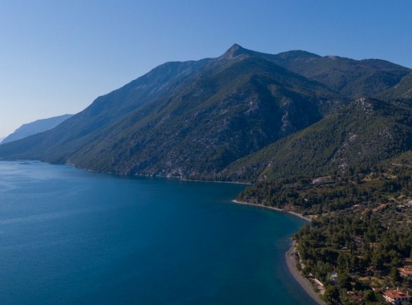 ΨΑΧΝΑ - ΠΟΛΙΤΙΚΑ - ΔΑΦΝΗ: Η Μεσσαπία έχει τους θησαυρούς της!