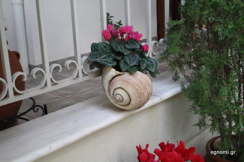 Πρωτότυπη ... γλάστρα