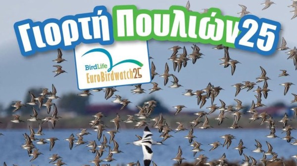 Γιορτή πουλιών με δράσεις στη Χαλκίδα και στον Φάρο Αυλίδας