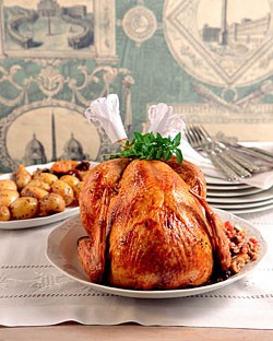 Πώς η γαλοπούλα γίνεται «βόμβα μικροβίων» στην κουζίνα σας