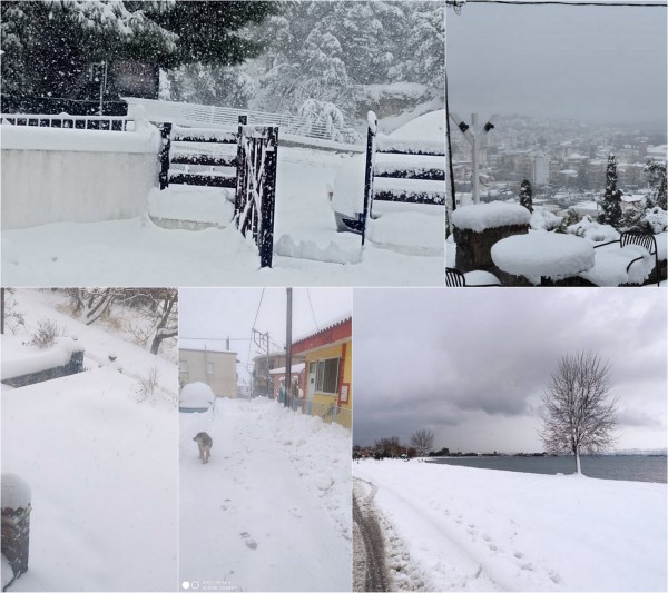 ΧΙΟΝΙΑ - ΚΑΚΟΚΑΙΡΙΑ ΕΛΠΙΔΑ: Δείτε φωτογραφίες από διάφορες περιοχές της Εύβοιας