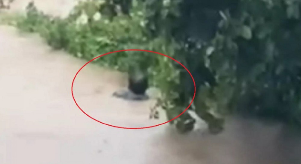 Ο δήμαρχος Σκιάθου Θοδωρής Τζούμας βούτηξε στα ορμητικά νερά (Video)