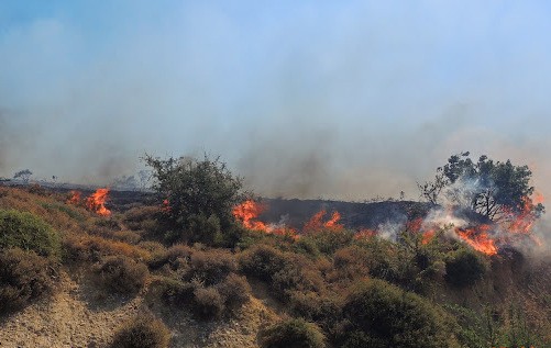 ΕΥΒΟΙΑ: Νέα σύλληψη για πυρκαγιά στο Δήμο Κύμης - Αλιβερίου