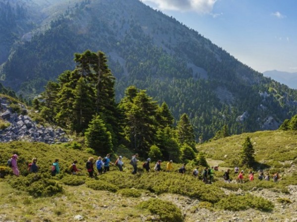 ΣΤΕΡΕΑ ΥΠΕΡΟΧΗΣ: Το περιφερειακό συμβούλιο απέρριψε το ψήφισμα για το περιβάλλον