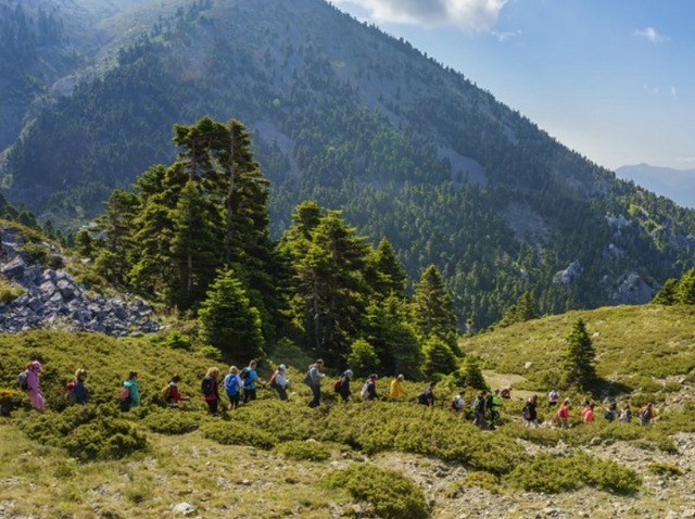 ΣΤΕΡΕΑ ΥΠΕΡΟΧΗΣ: Το περιφερειακό συμβούλιο απέρριψε το ψήφισμα για το περιβάλλον