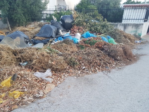 ΜΑΛΑΚΩΝΤΑΣ: Σκουπίδια παντού έξω από το Δημοτικό Σχολείο (pics)