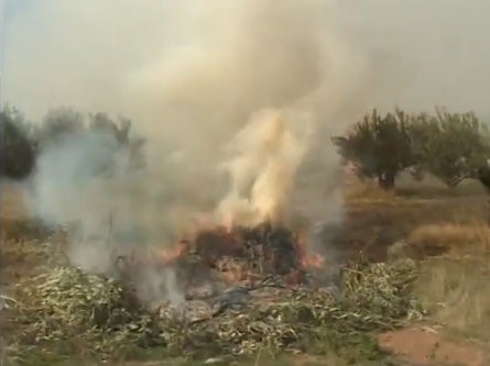 ΕΥΒΟΙΑ: Αρχίζει σύντομα η απαγόρευση καύσεων στην ύπαιθρο