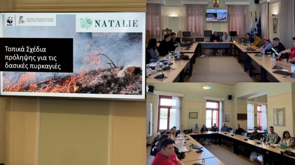 ΔΗΜΟΣ ΧΑΛΚΙΔΕΩΝ: Εκπονείται σχέδιο για την  πρόληψης δασικών πυρκαγιών