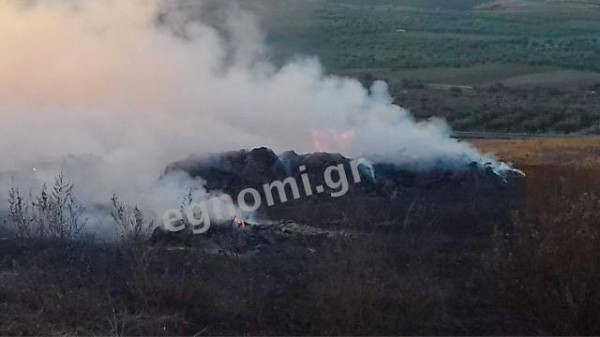 ΒΑΘΥ ΑΥΛΙΔΑΣ: Ντουμάνιασε από φωτιά