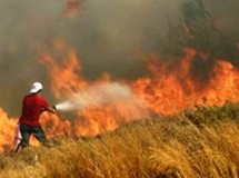 Ξέσπασε πυρκαγιά στην Kάρυστο