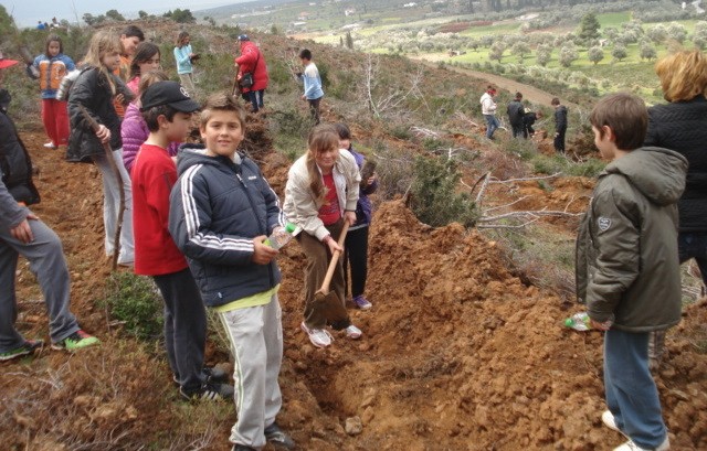 Δενδροφύτευση στην Παραλία Αυλίδας