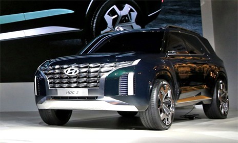 Εντυπωσιακό Palisade