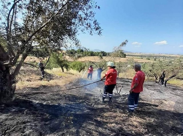 ΤΑΝΑΓΡΑ: Εκδηλώθηκε πυρκαγιά σε περιοχή με χαμηλή βλάστηση (φωτό)